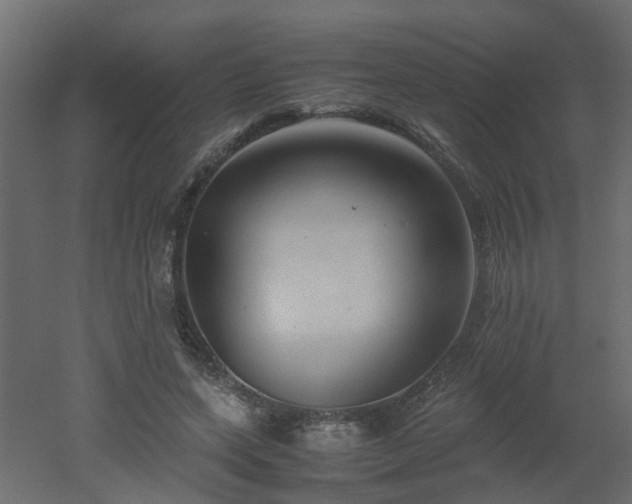 X0000051870543200506241350