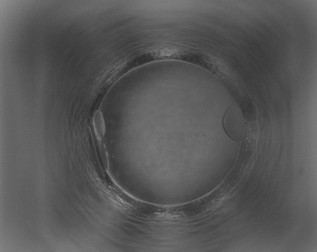X0000051870545200506241350