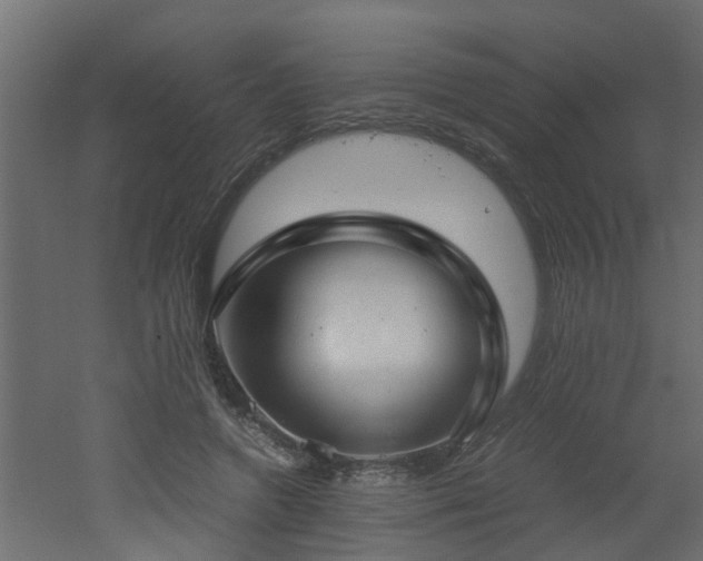 X0000051870546200506241350