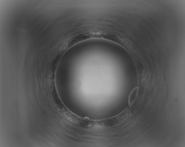 X0000051870559200506241350