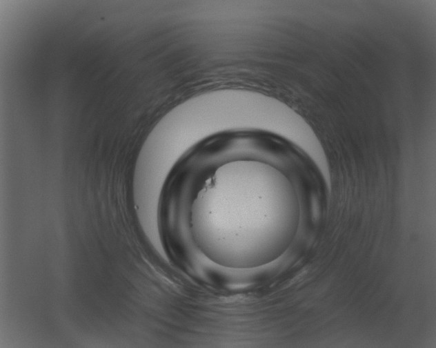 X0000051870562200506241350