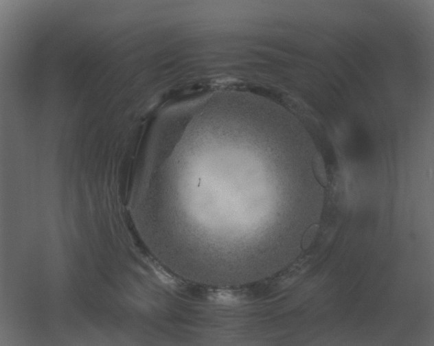 X0000051870565200506241350