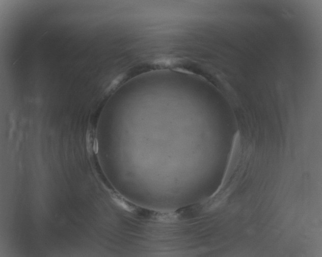 X0000051870576200506241350