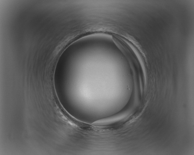 X0000051870577200506241349