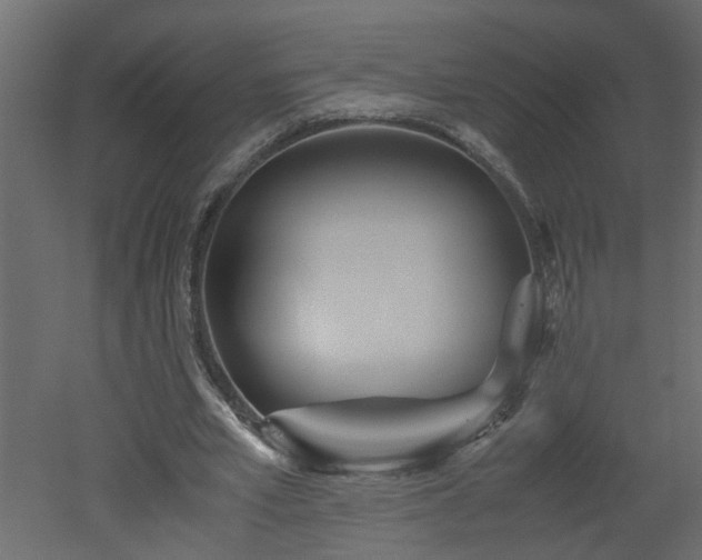 X0000051870581200506241349