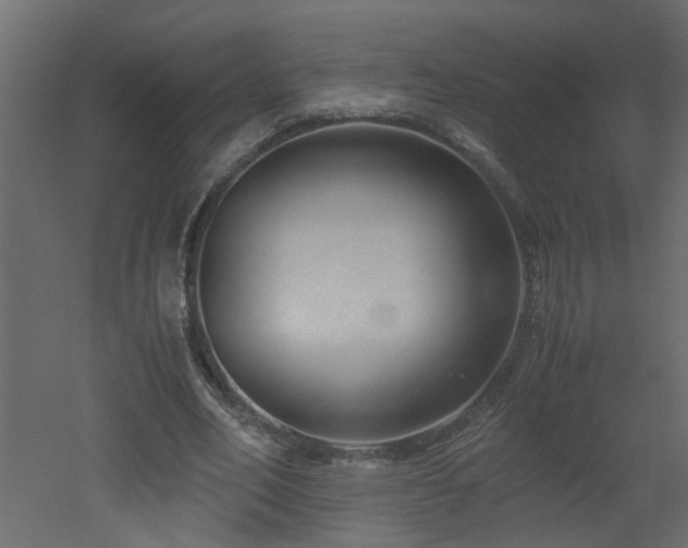 X0000051870582200506241349