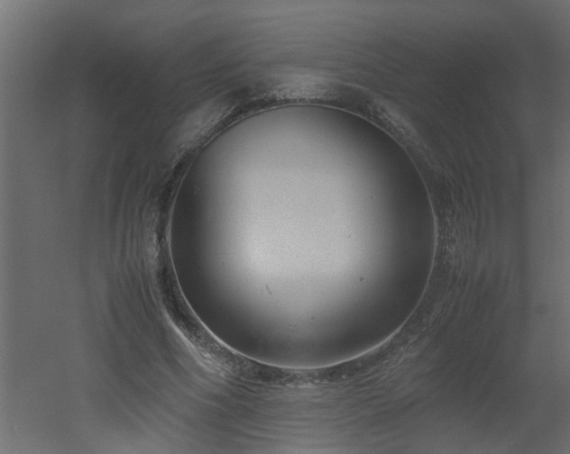 X0000051870586200506241349