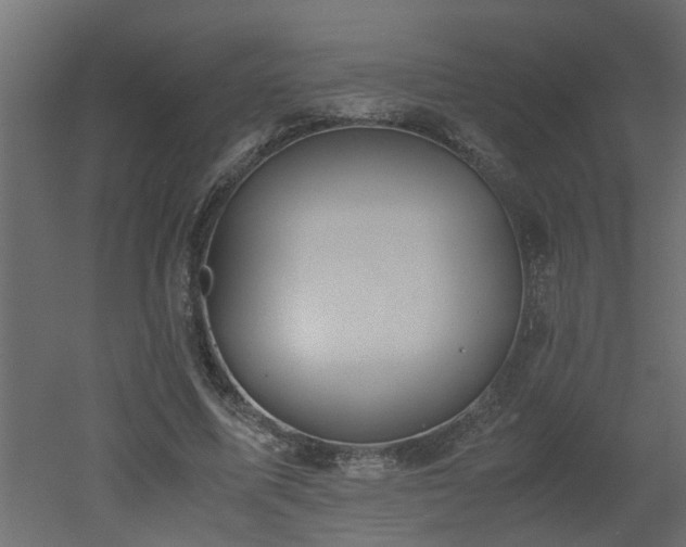 X0000051870587200506241349
