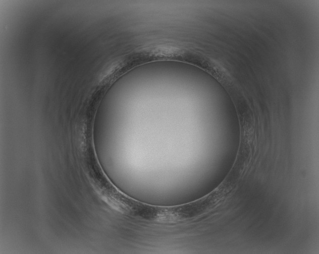 X0000051870591200506241349