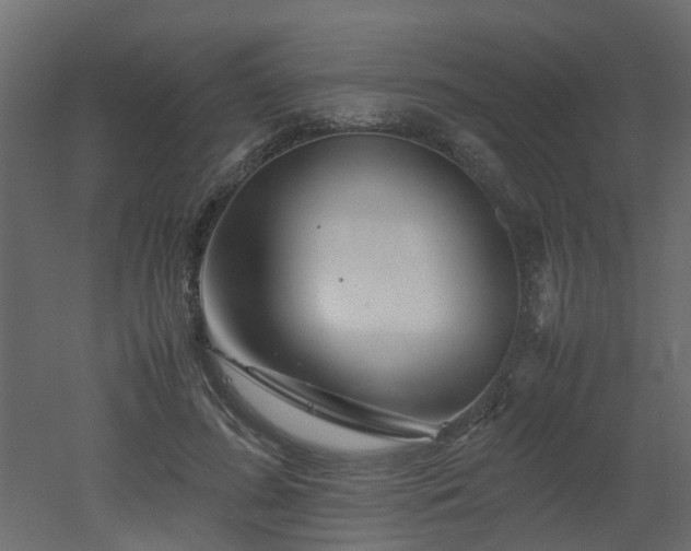 X0000051870596200506241349