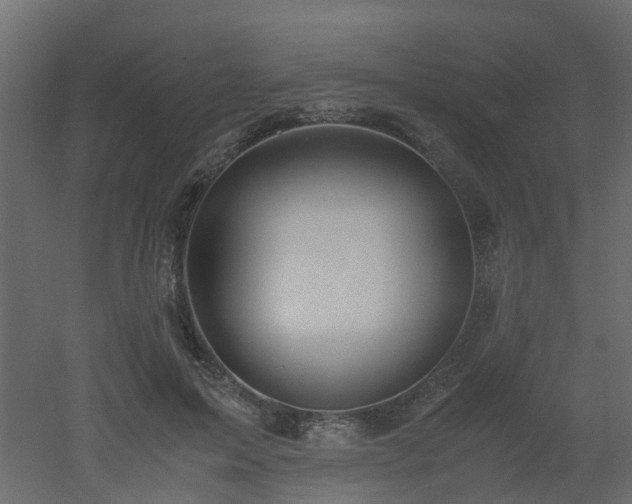 X0000051870599200506241349