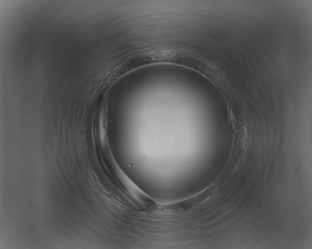 X0000051870604200506241349