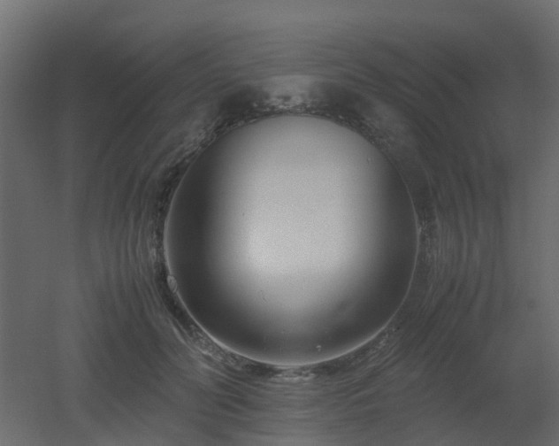 X0000051870606200506241349