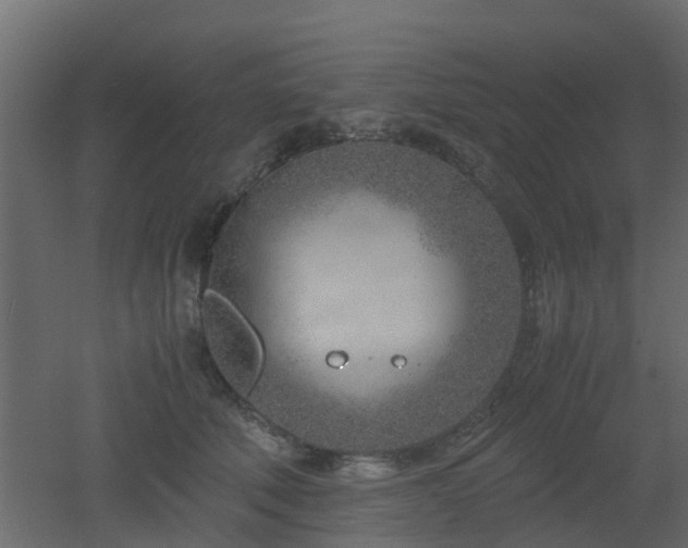 X0000051870610200506241349