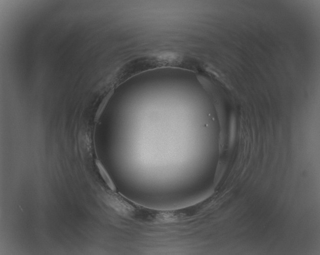 X0000051870613200506241349