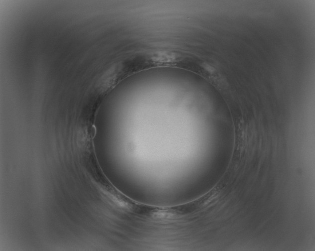 X0000051870614200506241349