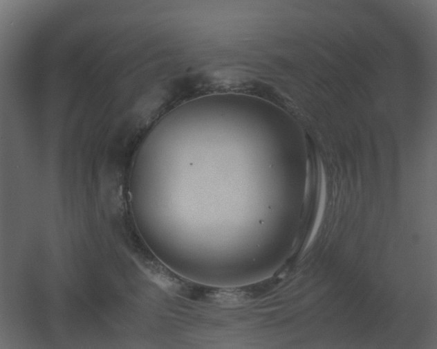 X0000051870615200506241349