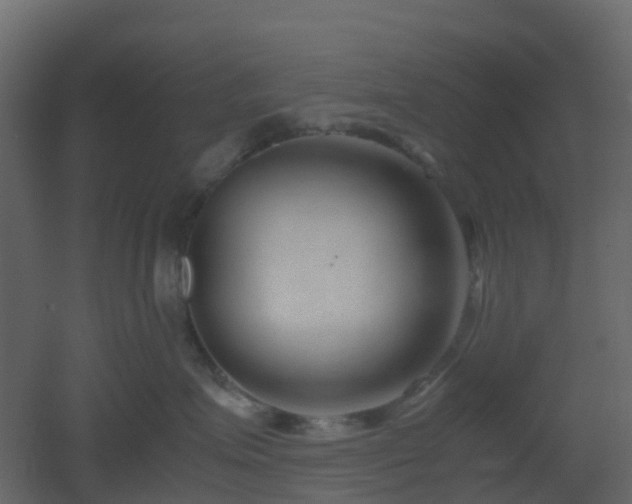 X0000051870623200506241349