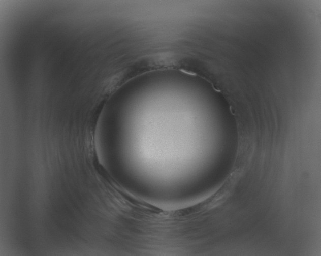 X0000051870624200506241349