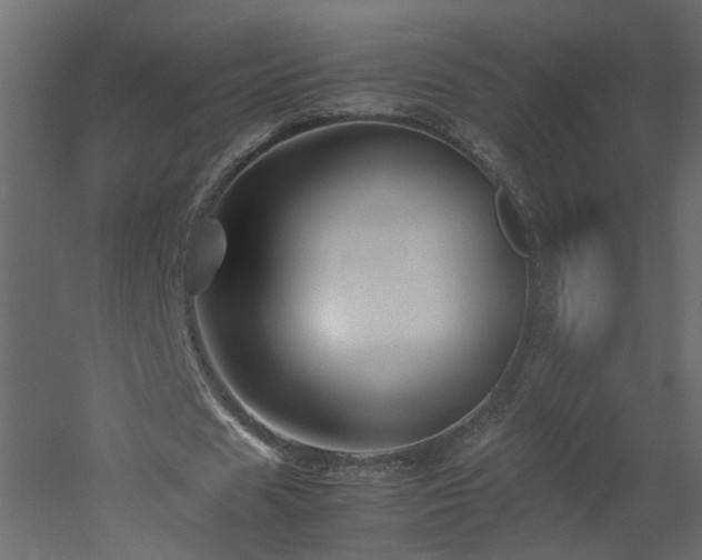 X0000051870625200506241348