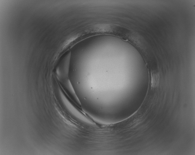 X0000051870627200506241348