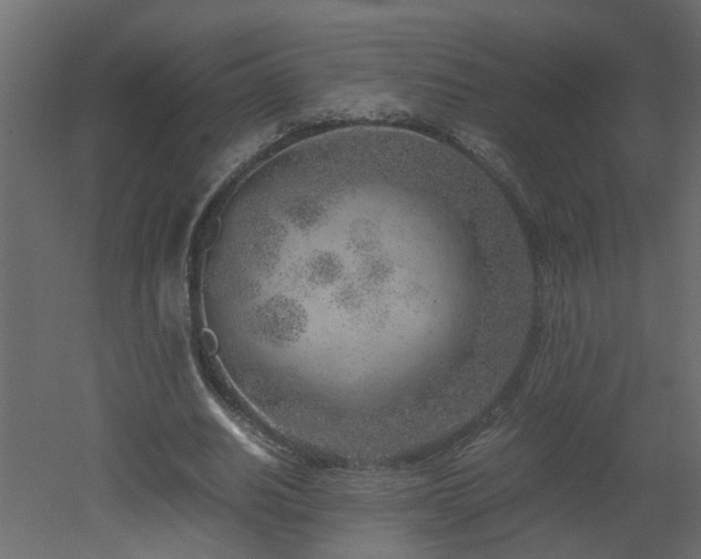 X0000051870630200506241348