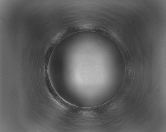 X0000051870637200506241348