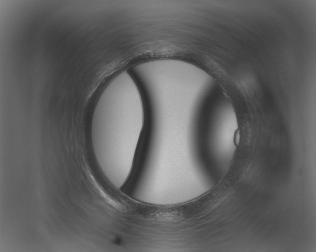 X0000051870638200506241348