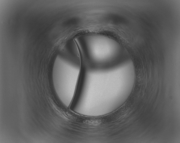 X0000051870639200506241348