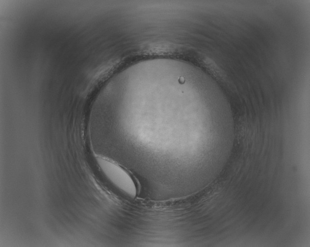 X0000051870640200506241348