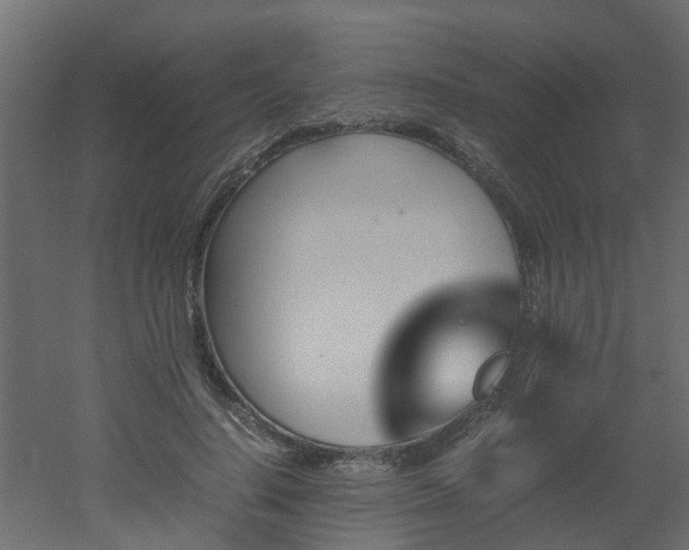 X0000051870644200506241348