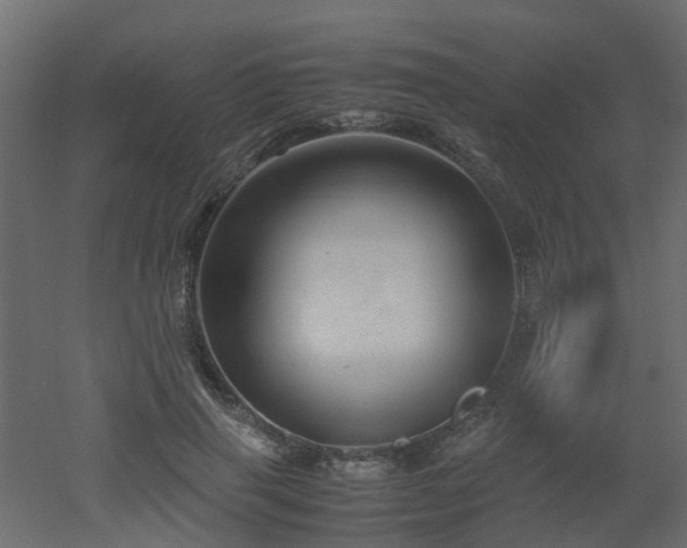 X0000051870645200506241348