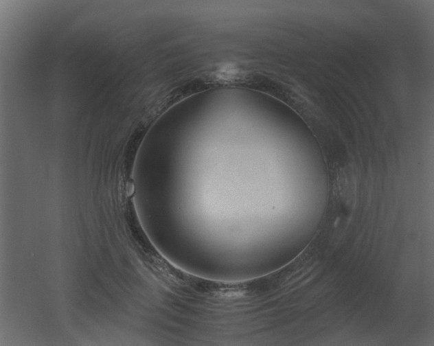 X0000051870651200506241348