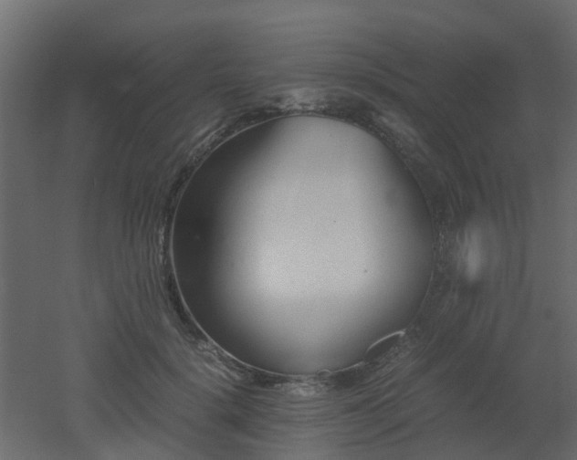 X0000051870652200506241348