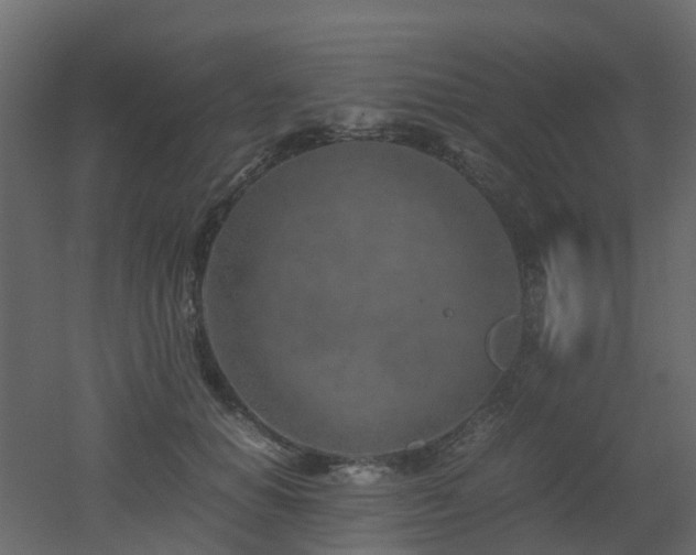 X0000051870654200506241348