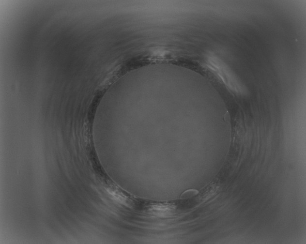 X0000051870659200506241348