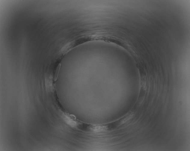 X0000051870670200506241349