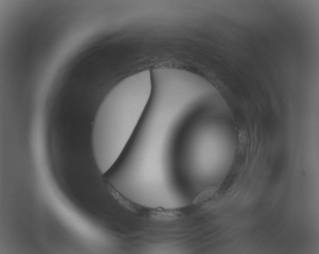 X0000051870671200506241349