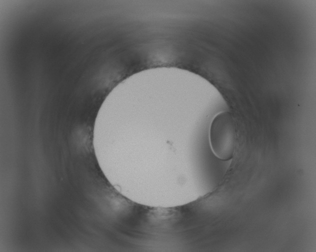 X0000051870672200506241349