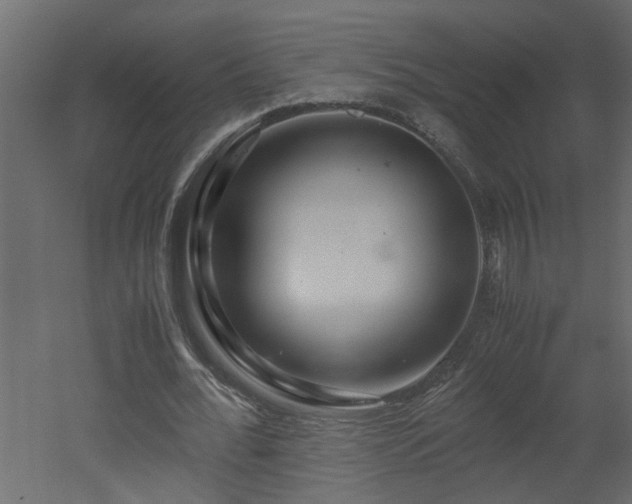 X0000051870676200506241348