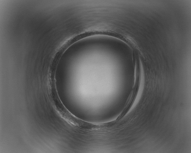 X0000051870680200506241348