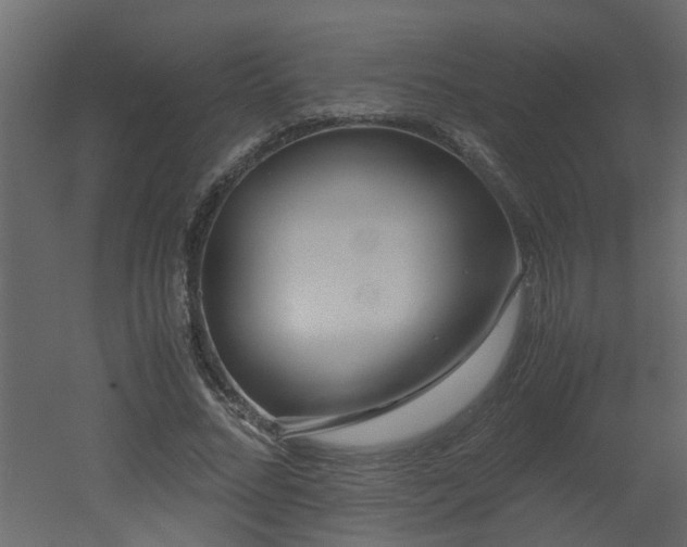X0000051870684200506241348