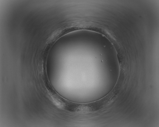 X0000051870685200506241348