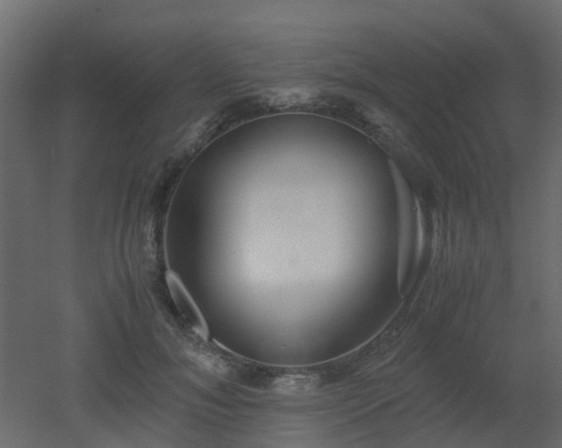 X0000051870700200506241347
