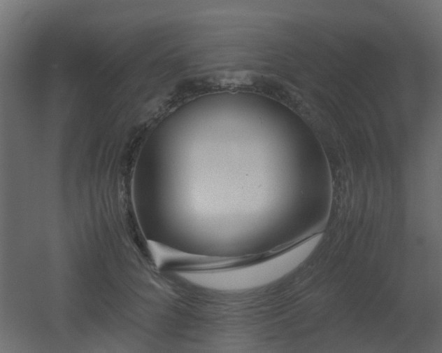 X0000051870704200506241347