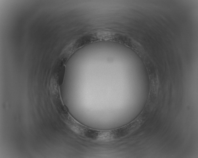 X0000051870705200506241347