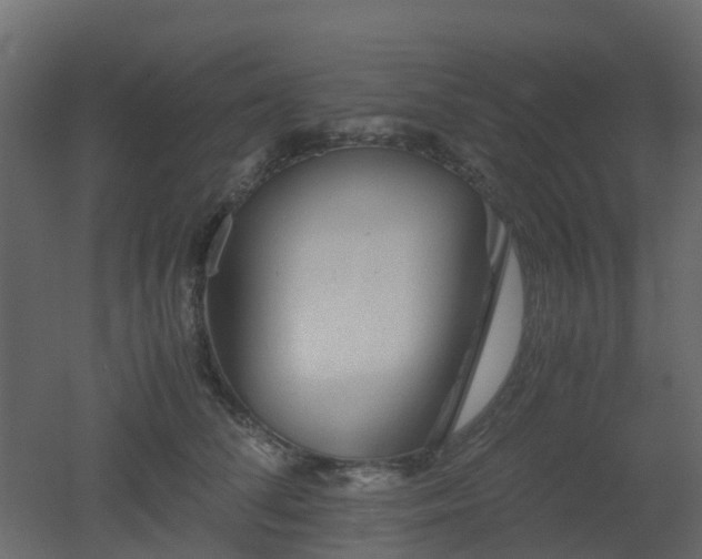 X0000051870708200506241347