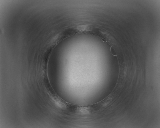 X0000051870710200506241347