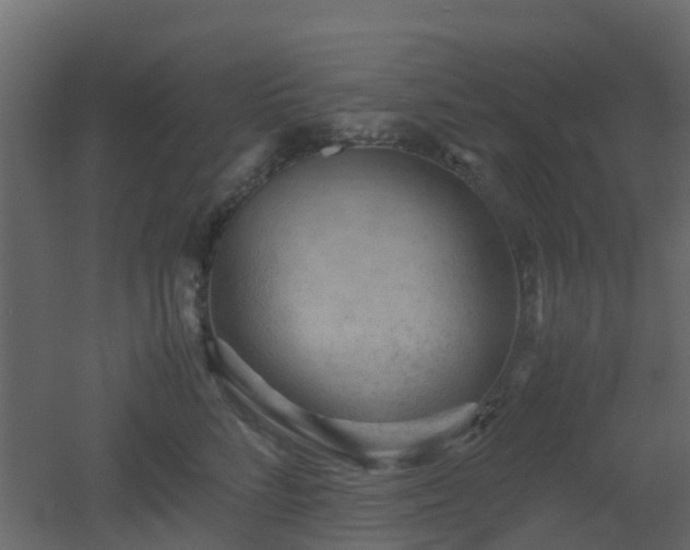 X0000051870712200506241347
