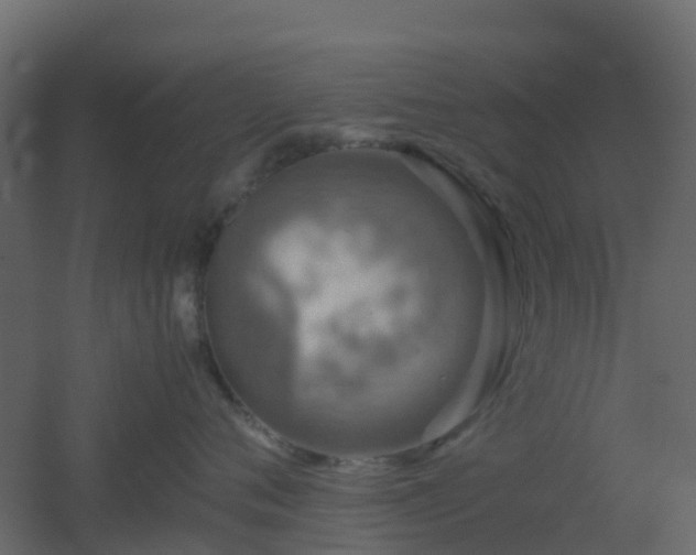 X0000051870720200506241347